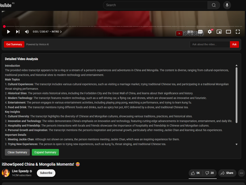 YouTube Transcript Summarizer - Extended summary