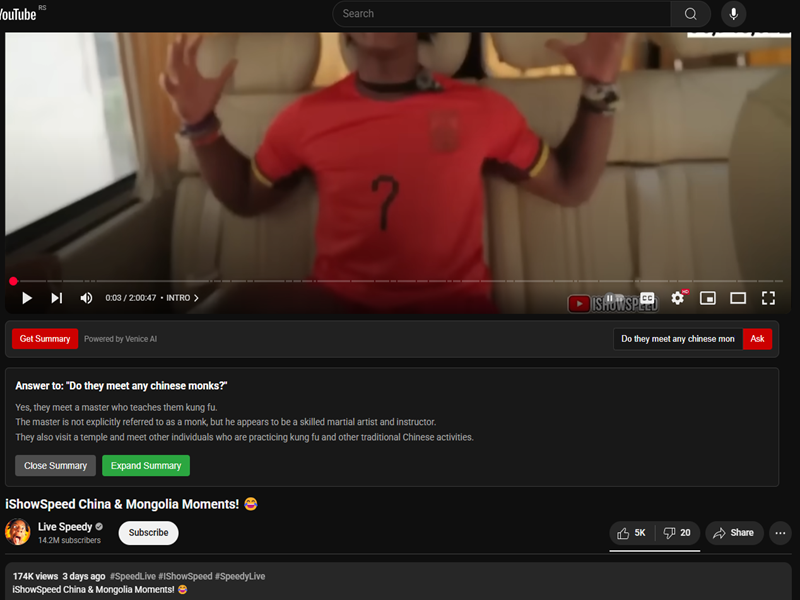 YouTube Transcript Summarizer - Asking questions about the video